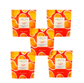 Five Pack Lip Smacking Mango